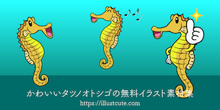 かわいいタツノオトシゴ