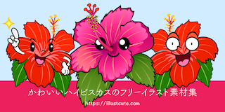 かわいいハイビスカスイラスト