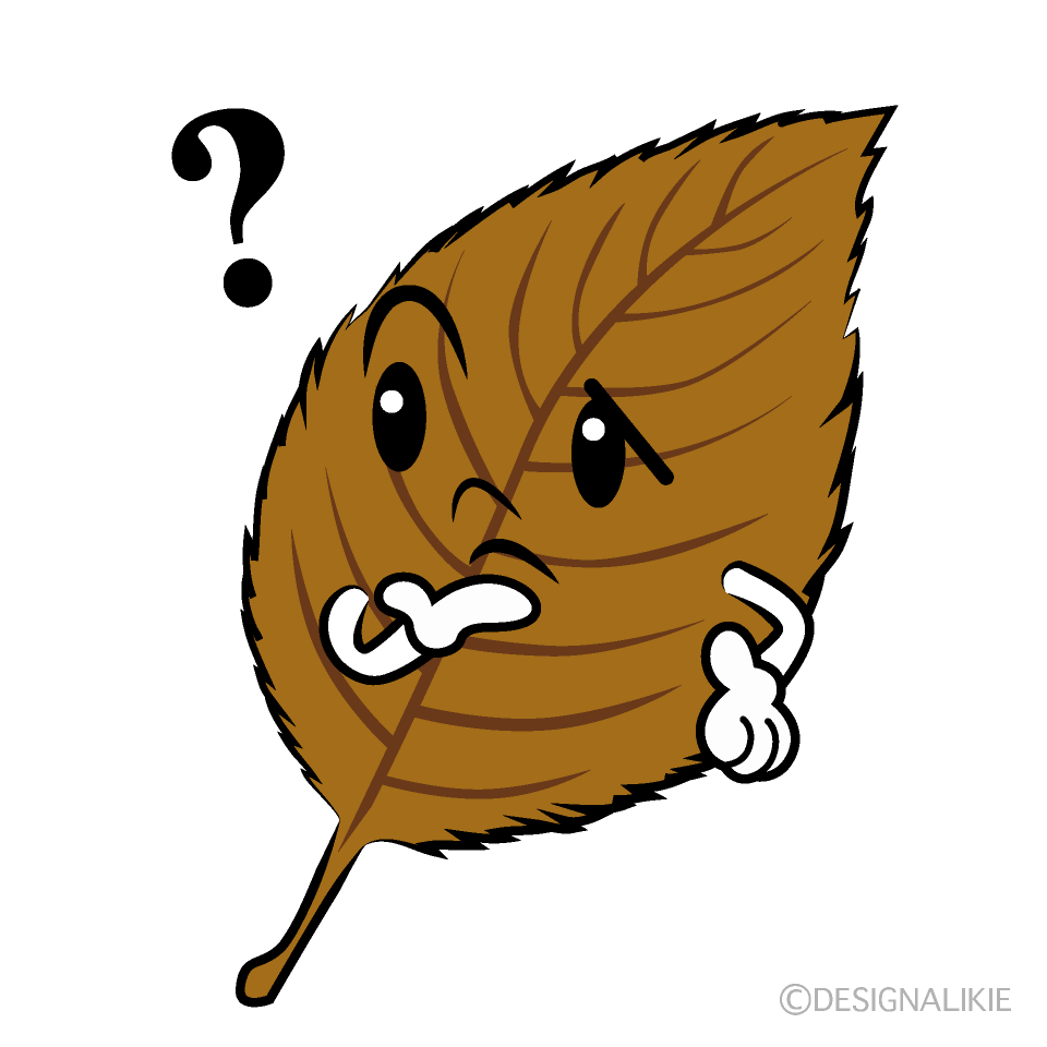 かわいい考える落ち葉イラスト