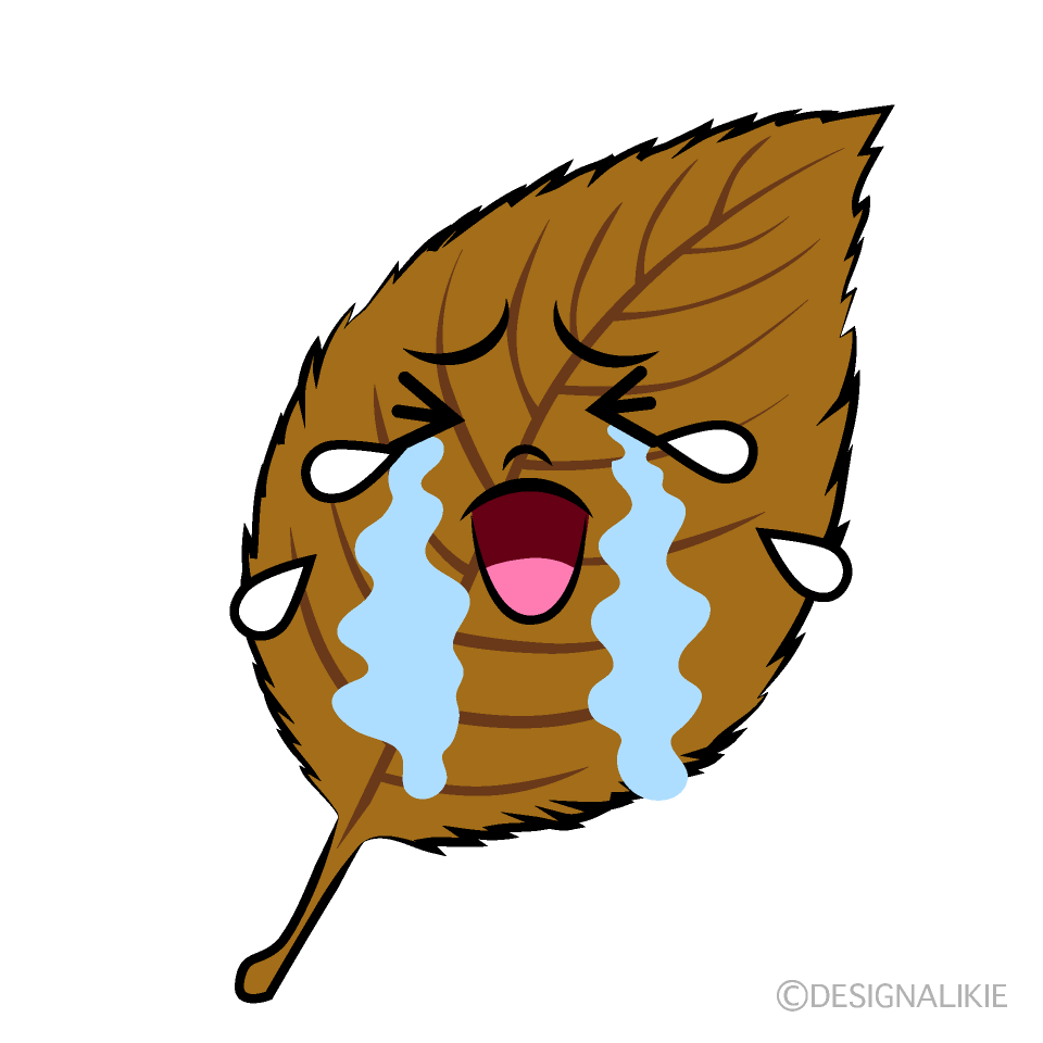 かわいい泣く落ち葉イラスト
