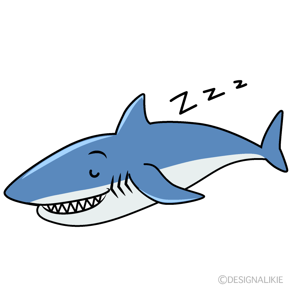 かわいい寝るサメイラスト