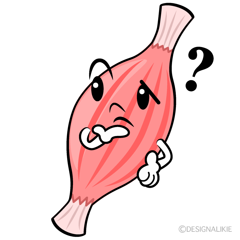 かわいい考える筋肉イラスト