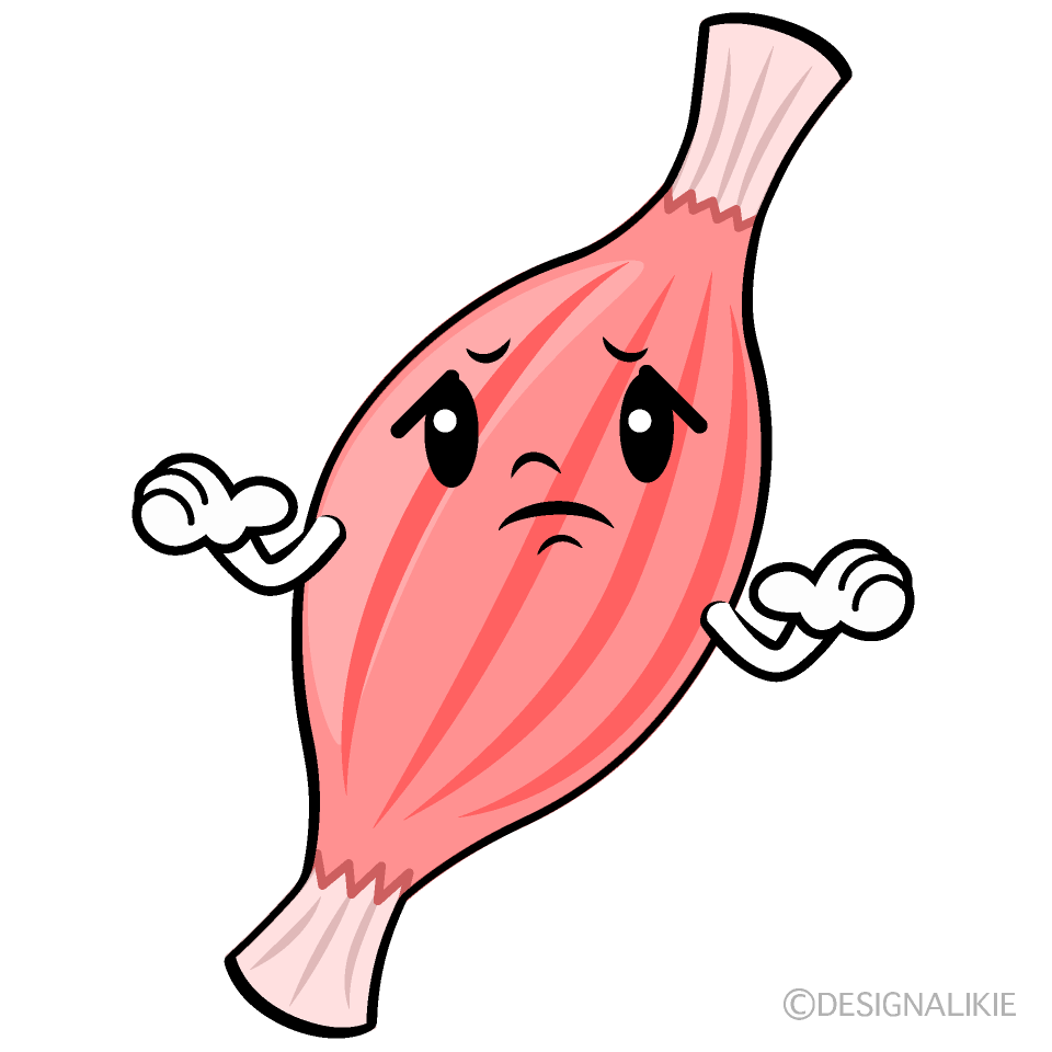かわいい困る筋肉イラスト