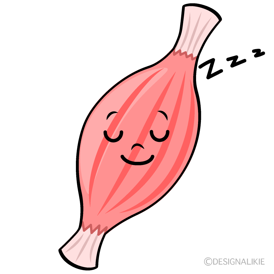 かわいい寝る筋肉イラスト