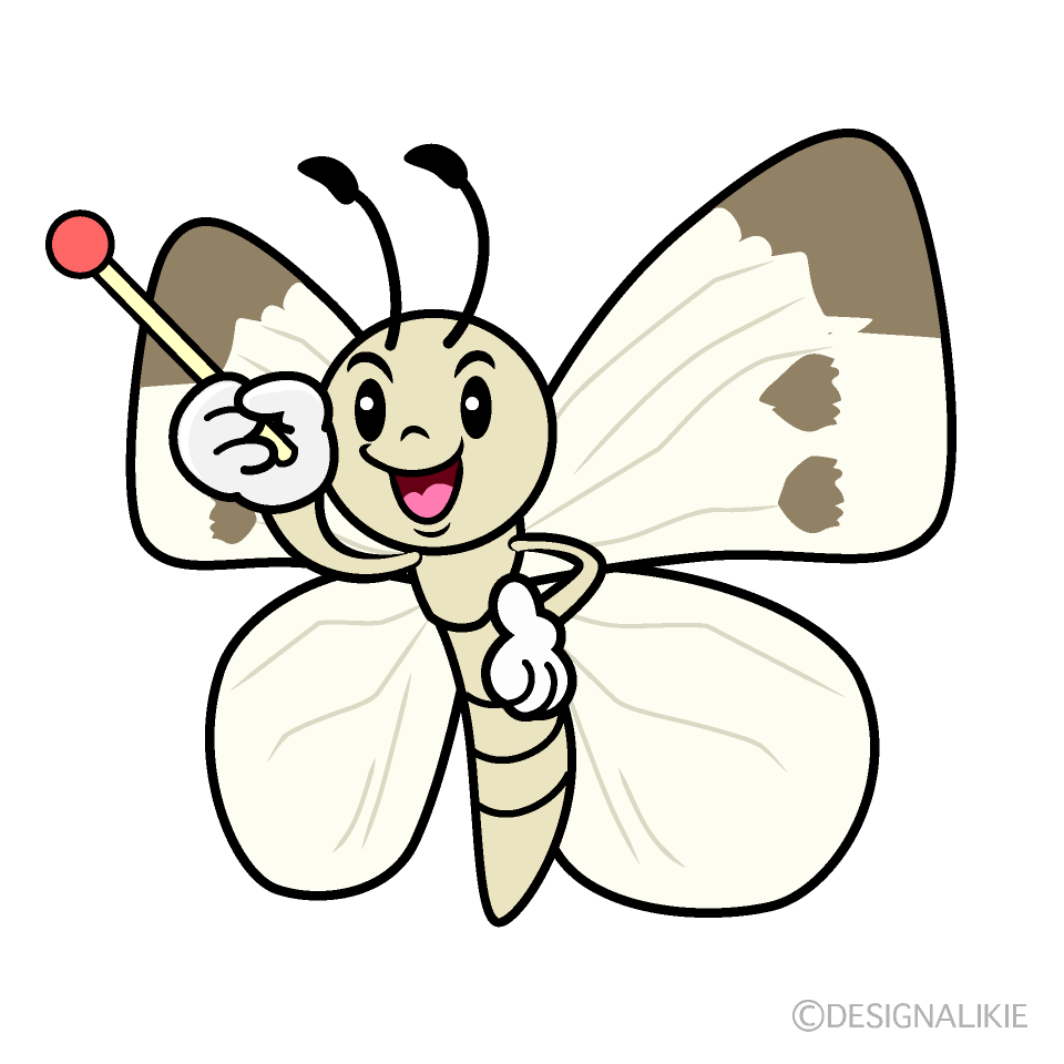 かわいい説明するモンシロチョウイラスト