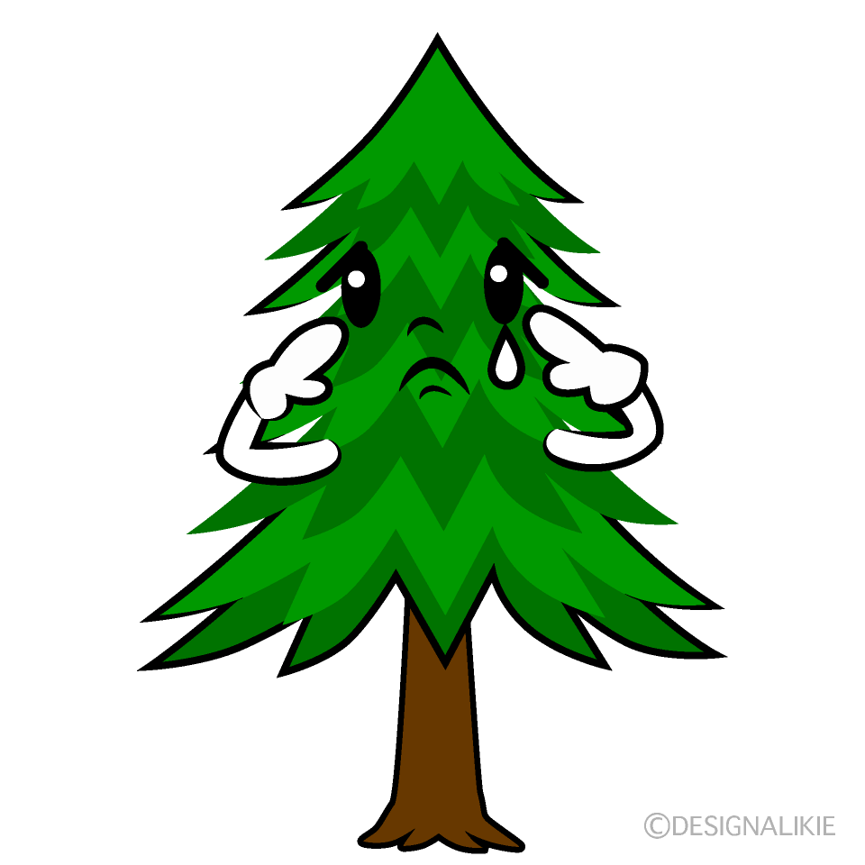 かわいい悲しい針葉樹イラスト