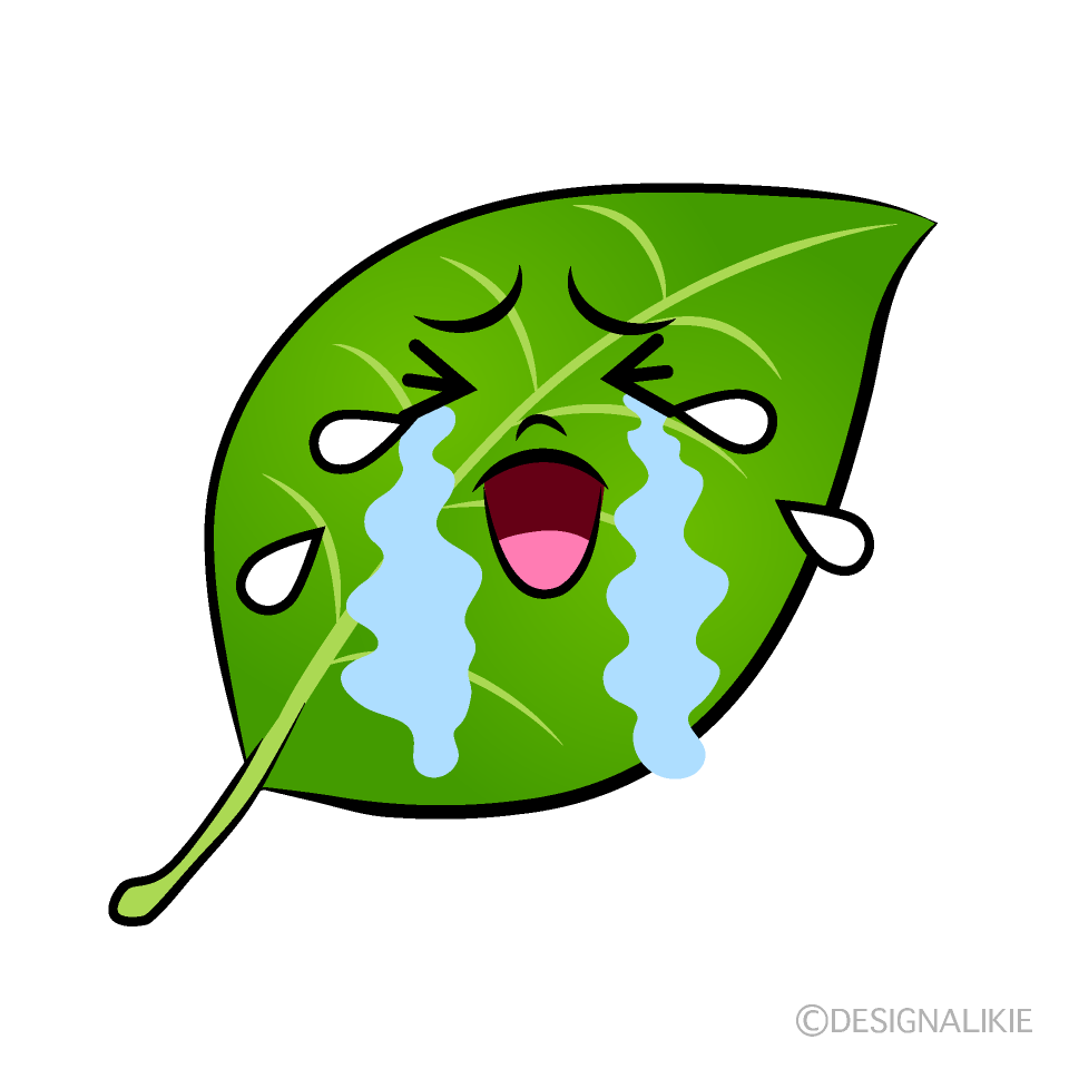 かわいい泣く葉っぱイラスト