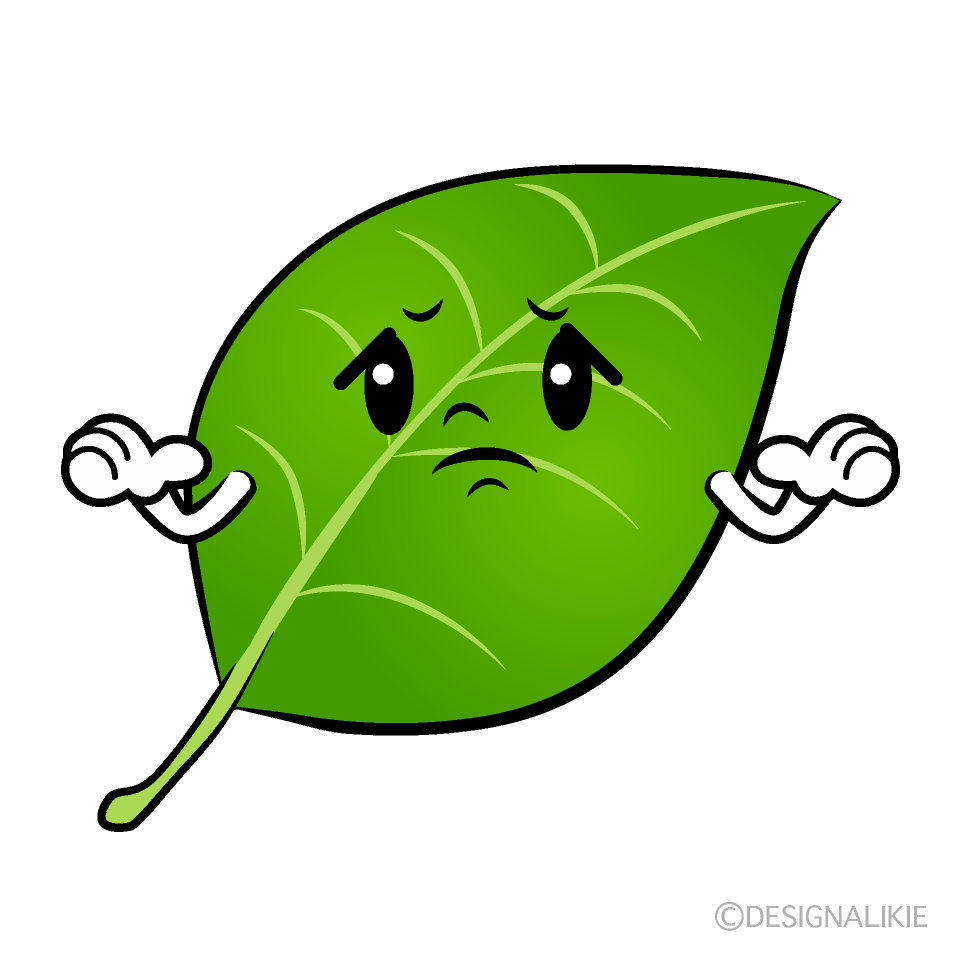 かわいい困る葉っぱイラスト