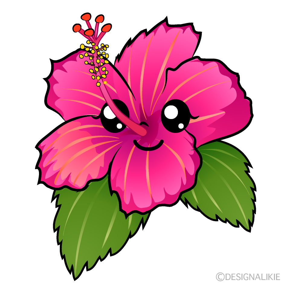 かわいいピンクハイビスカスイラスト
