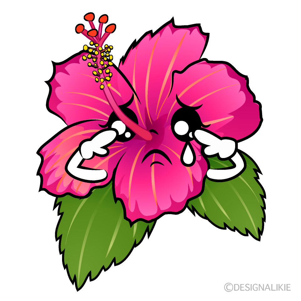 Cute Sad Pink Hibiscus Clipart