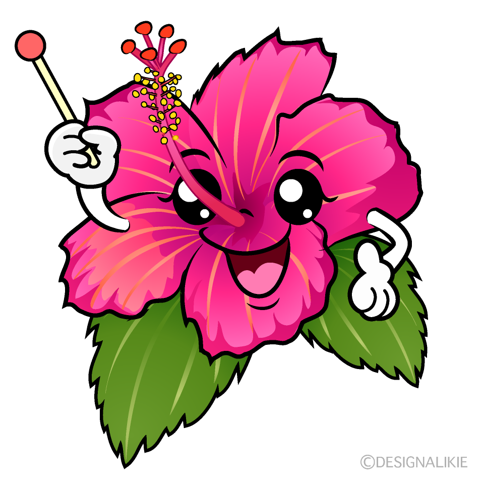 かわいい説明するピンクハイビスカスイラスト