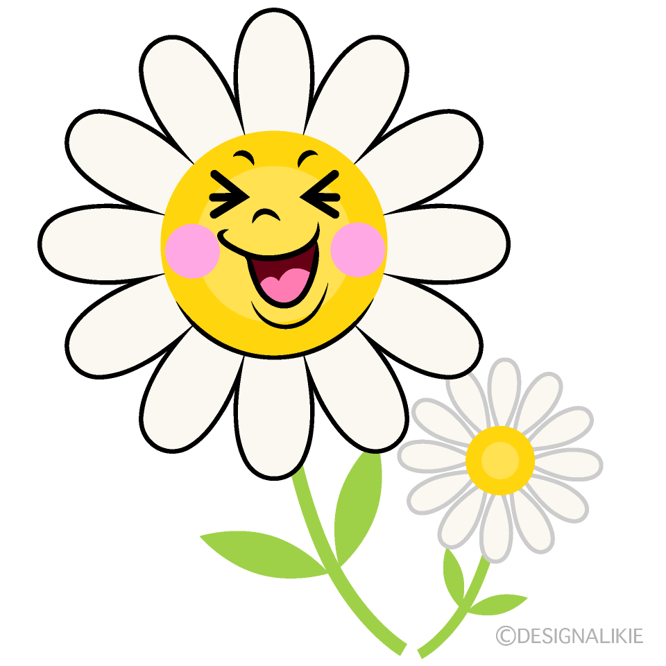 かわいい笑う白コスモスイラスト