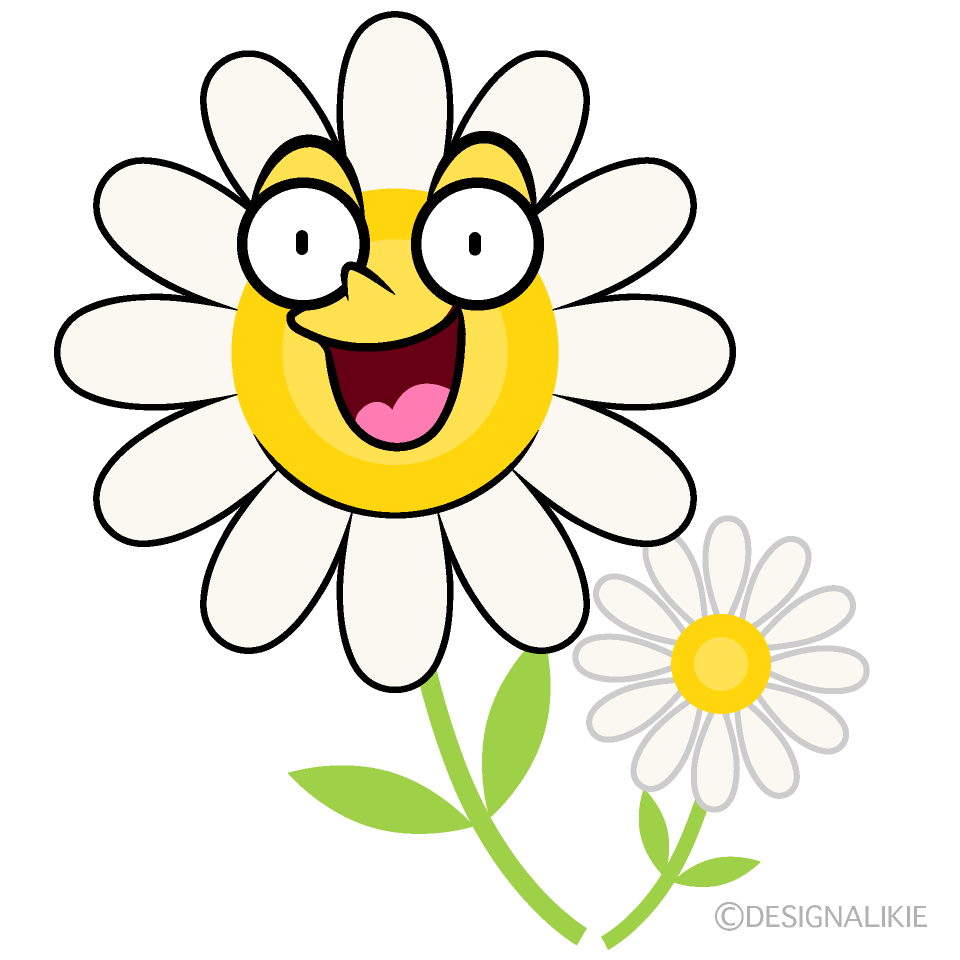 かわいい驚く白コスモスイラスト