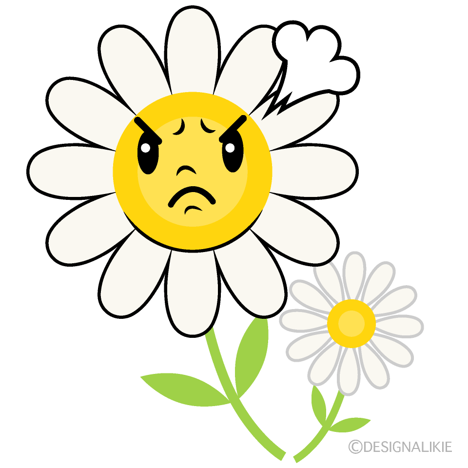 かわいい怒る白コスモスイラスト