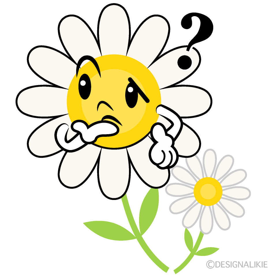 かわいい考える白コスモスイラスト