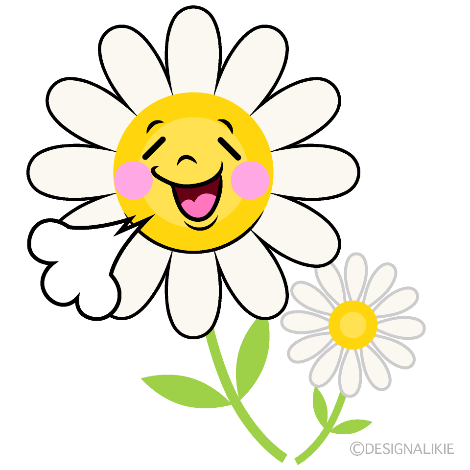 かわいいほっとする白コスモスイラスト