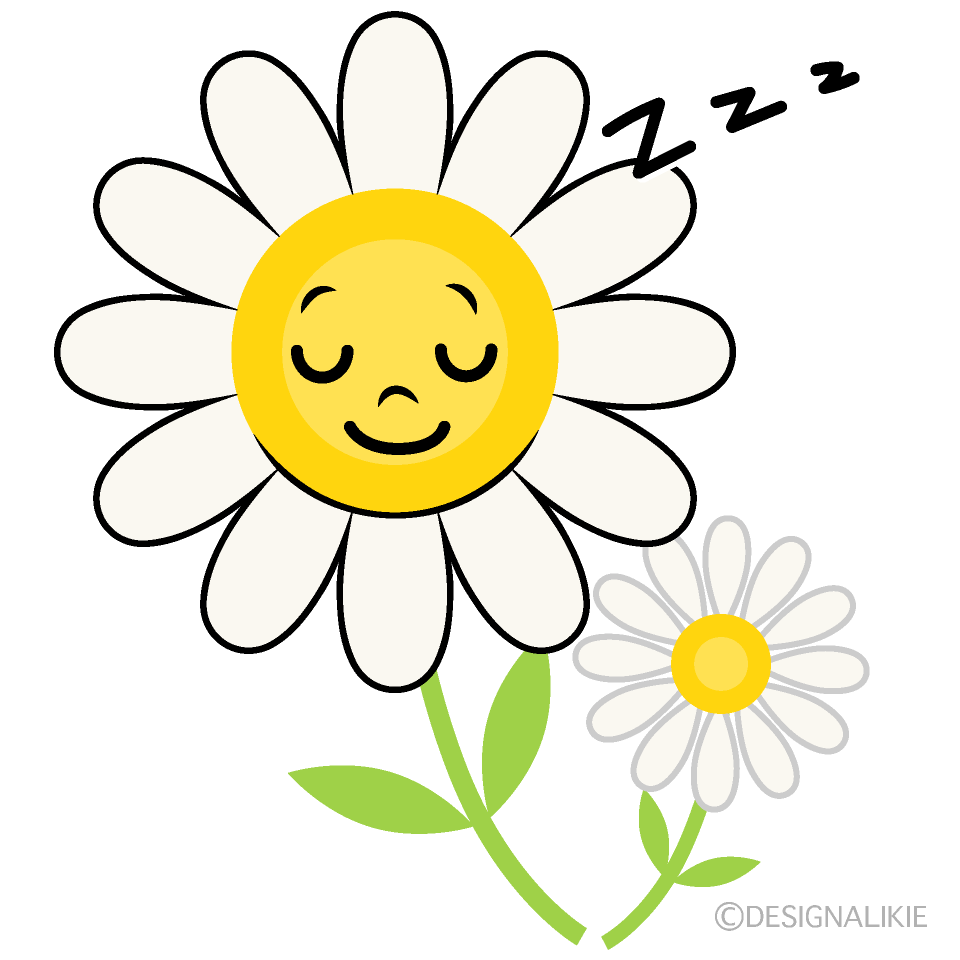 かわいい寝る白コスモスイラスト