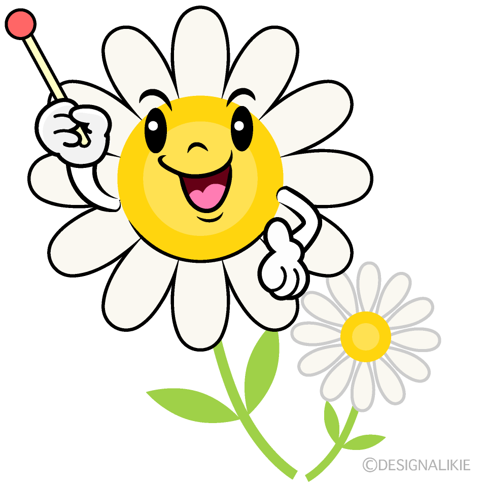 かわいい説明する白コスモスイラスト