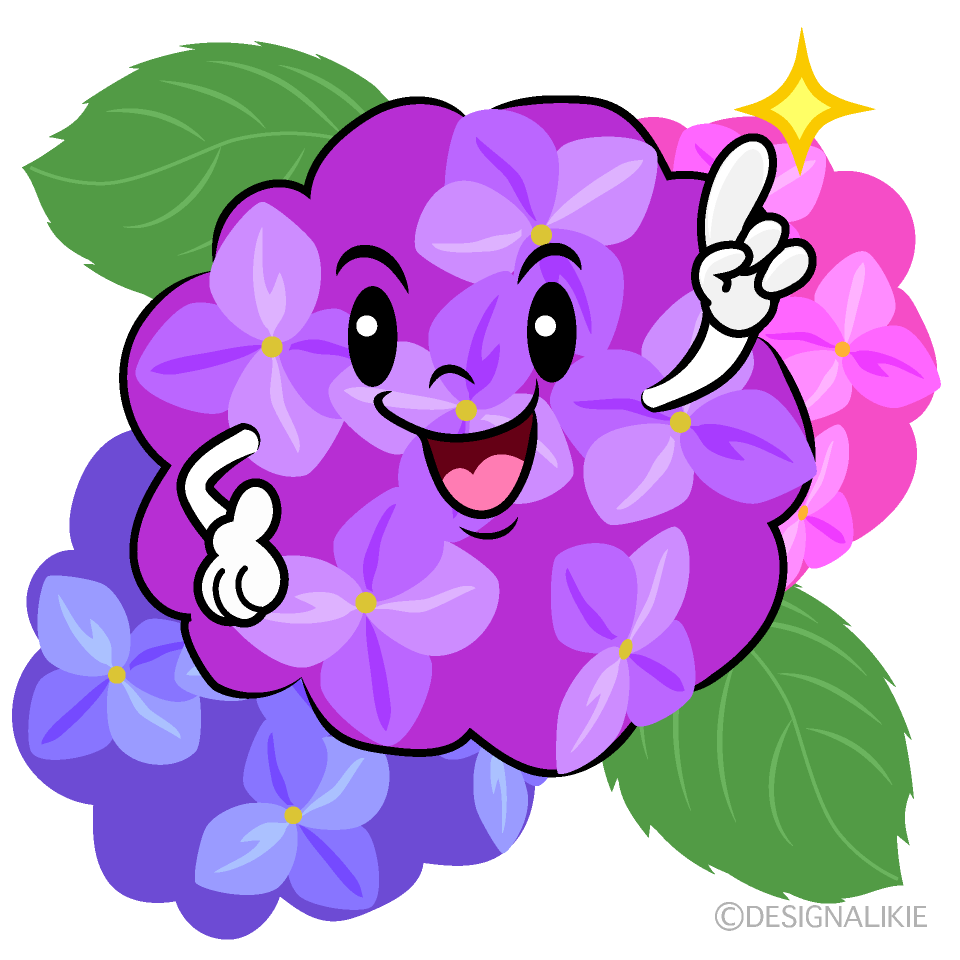かわいい指差しする紫陽花イラスト