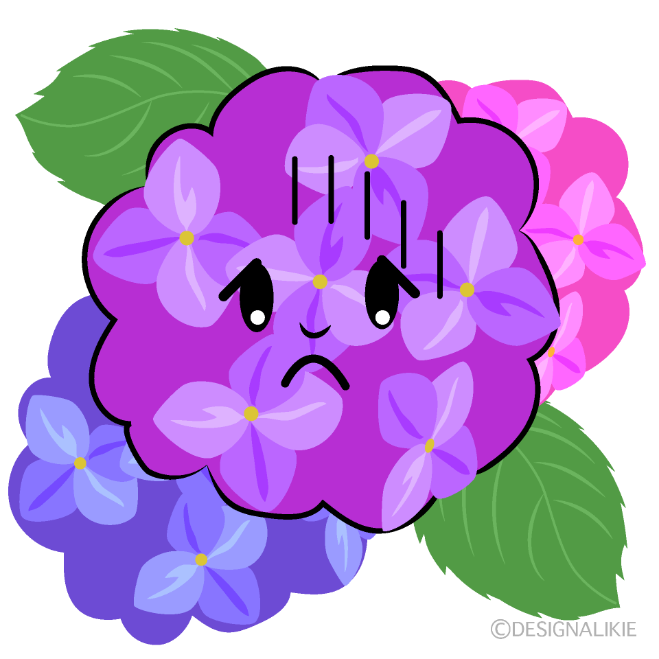 かわいいお辞儀する紫陽花イラスト