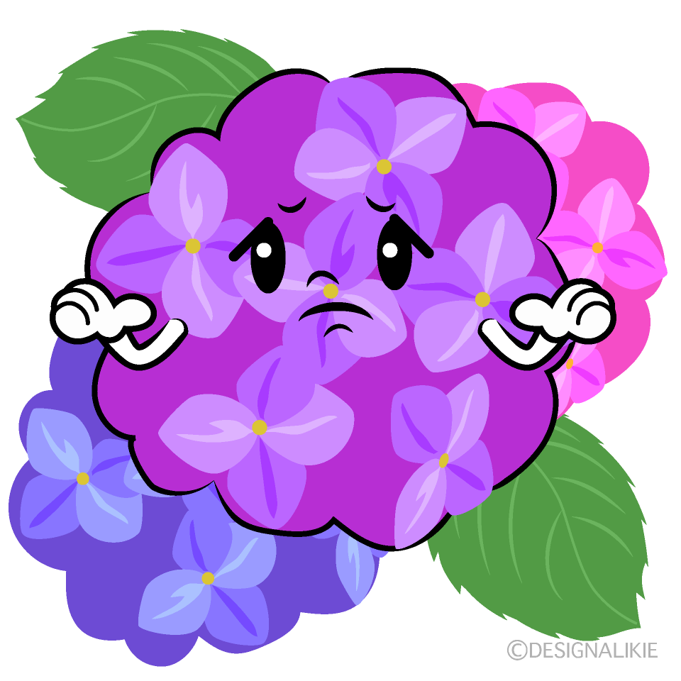 かわいい困る紫陽花イラスト