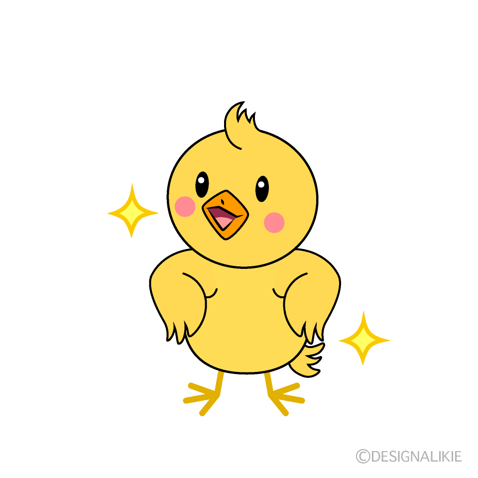 かわいい自信満々なヒヨコイラスト