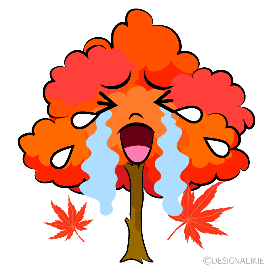 かわいい泣くモミジ木イラスト