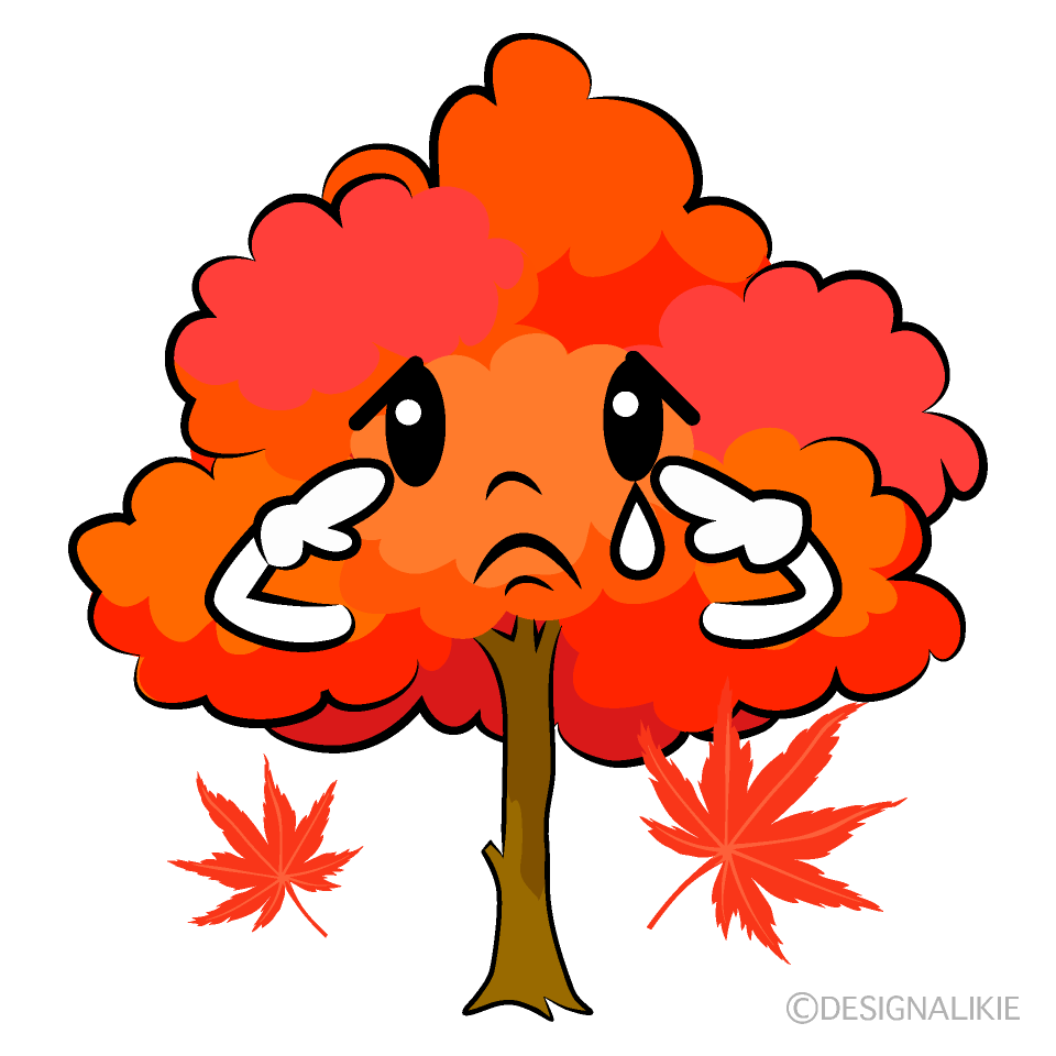 かわいいメソメソ泣くモミジ木イラスト
