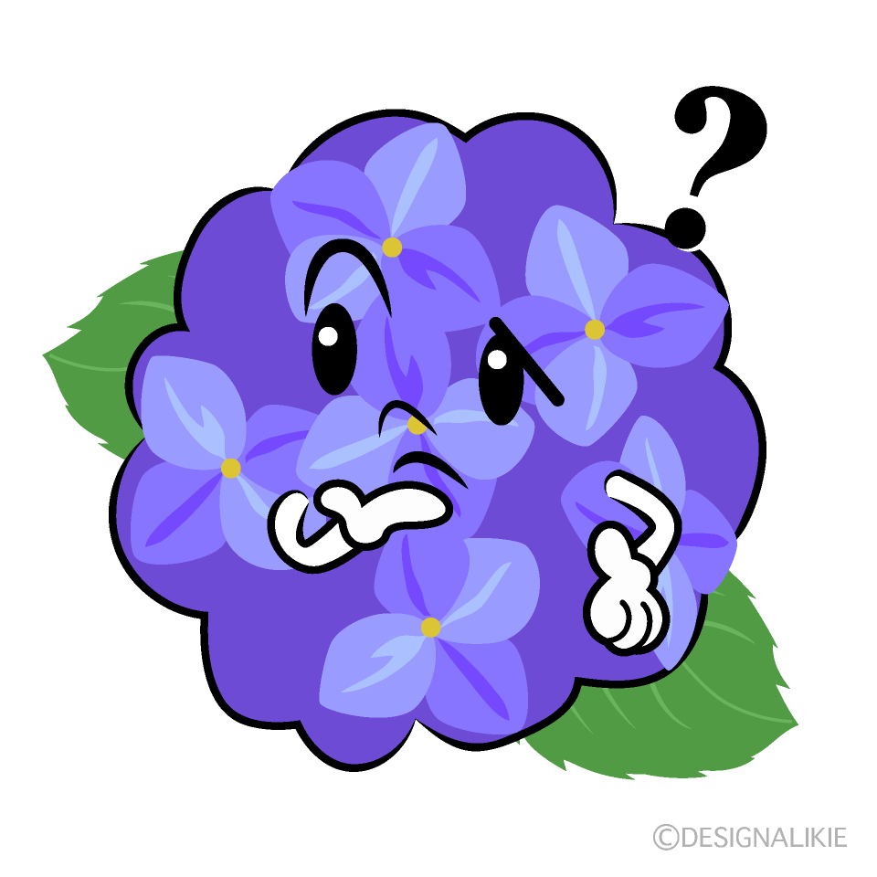 かわいい考えるアジサイイラスト