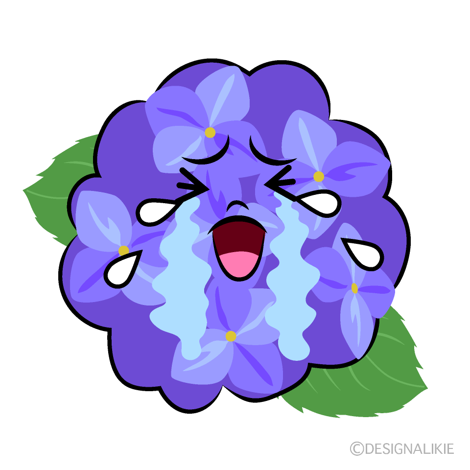 かわいい泣くアジサイイラスト