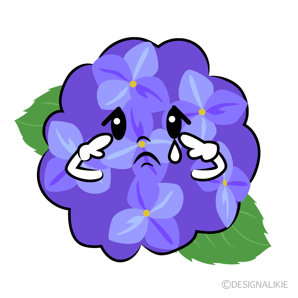 かわいい悲しいアジサイイラスト
