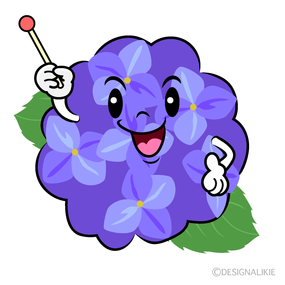 かわいい説明するアジサイイラスト