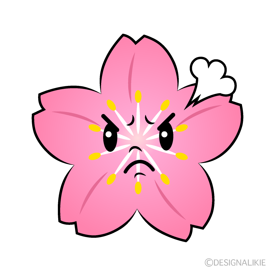 かわいい怒る桜イラスト