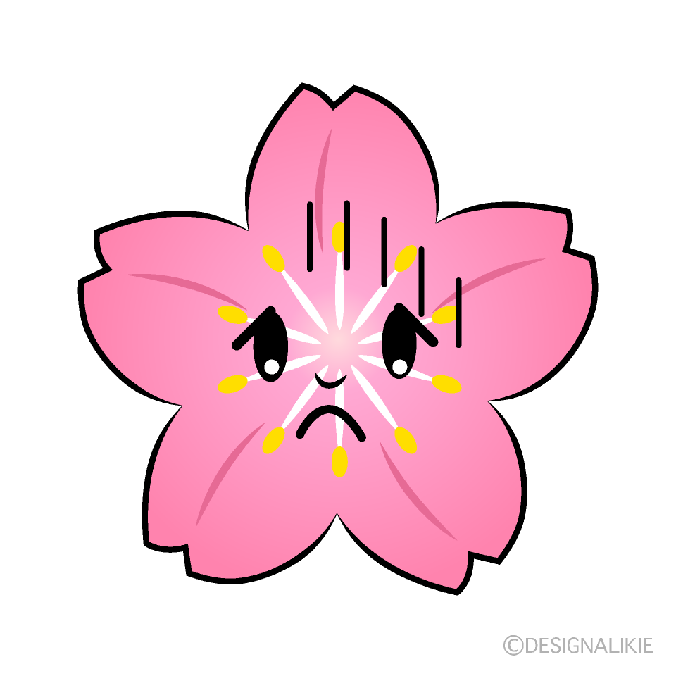かわいい落ち込む桜イラスト