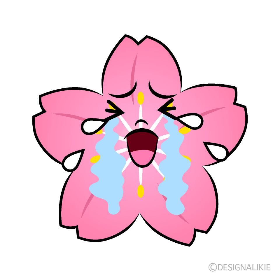 かわいい泣く桜イラスト