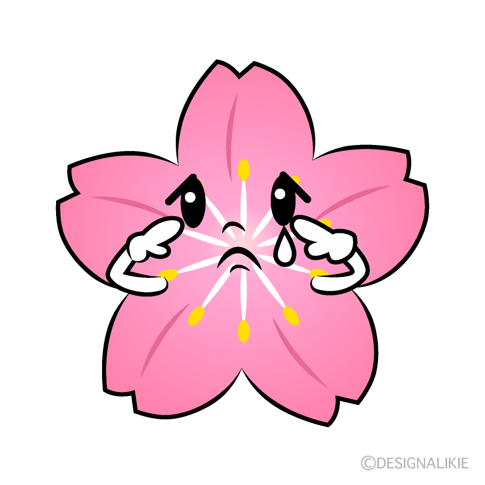 かわいい悲しい桜イラスト