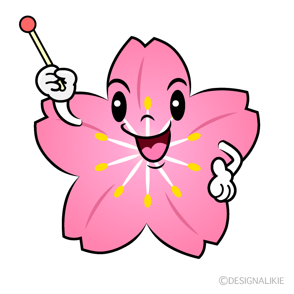 かわいい説明する桜イラスト