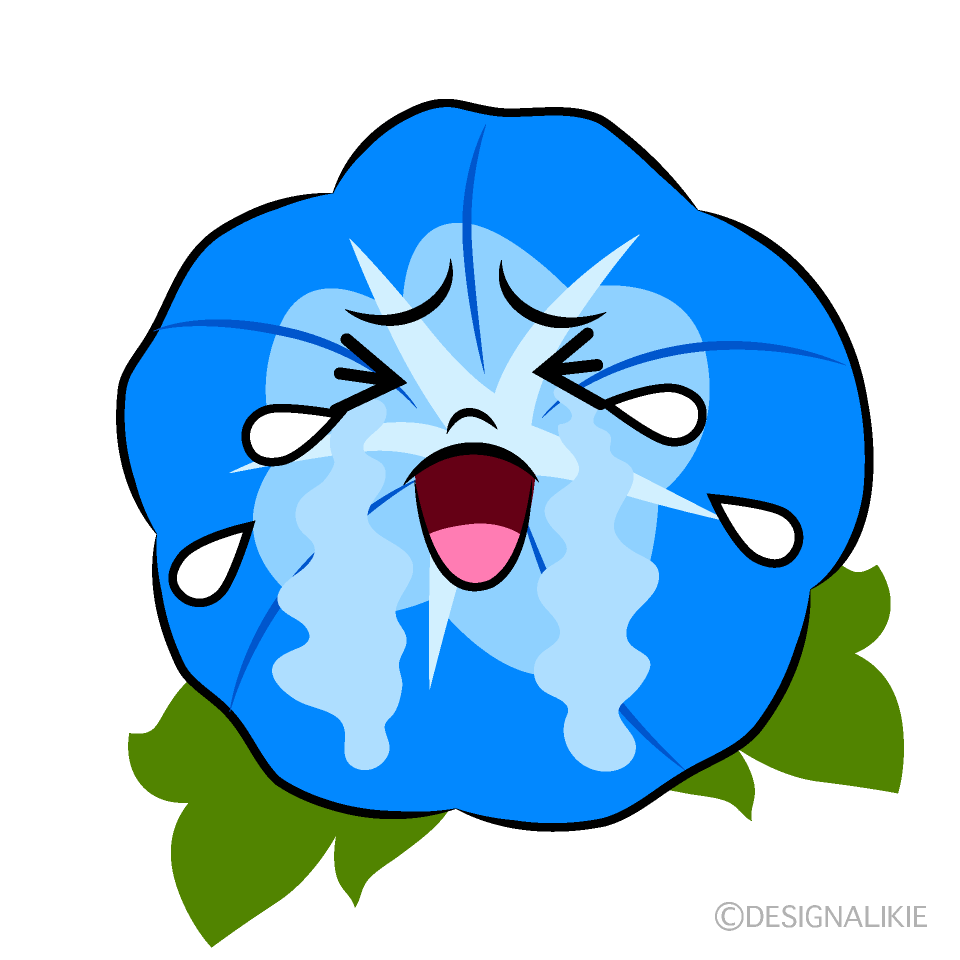 かわいい泣く朝顔イラスト