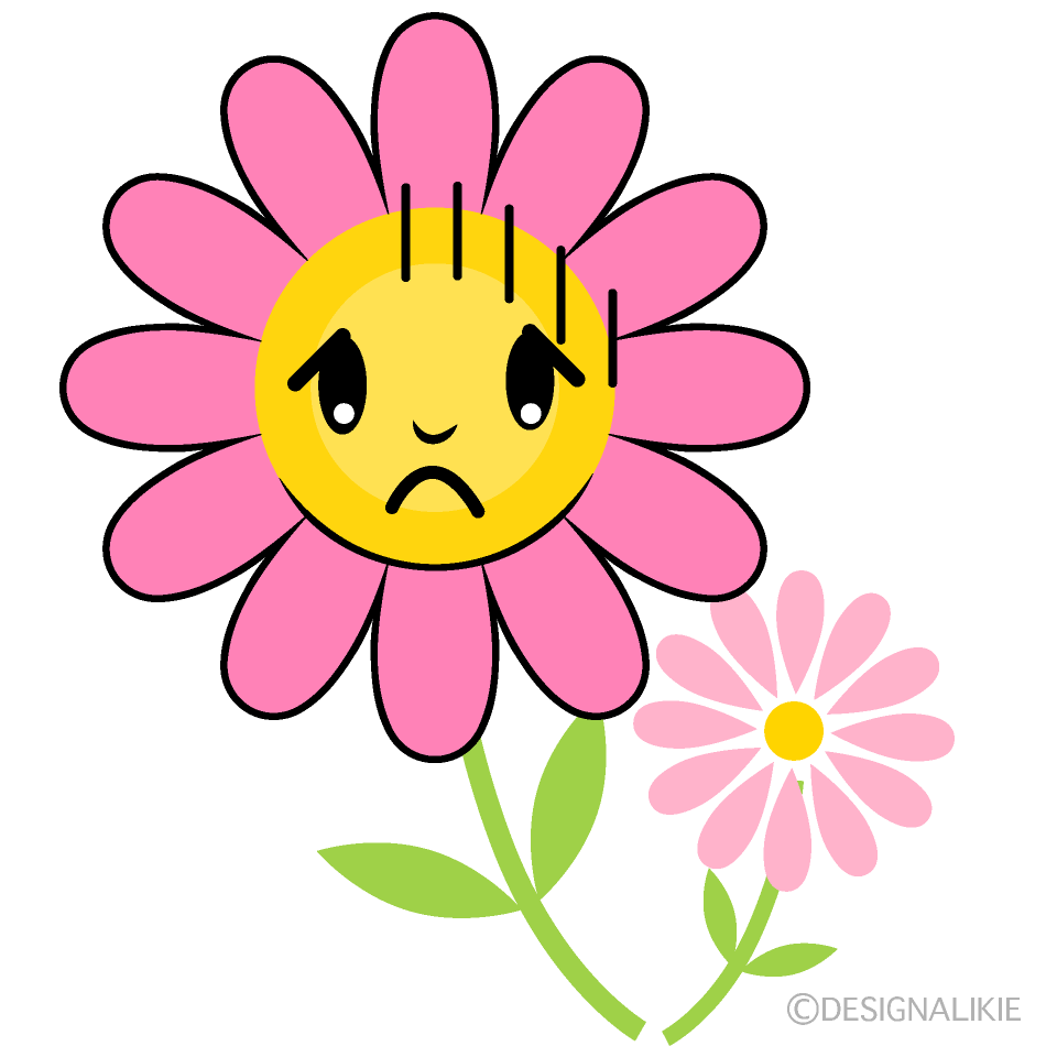 かわいい落ち込むコスモスイラスト