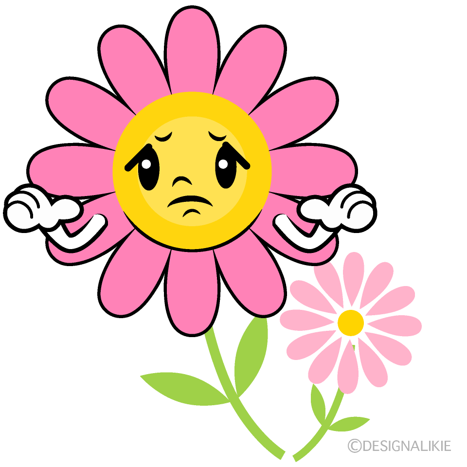 かわいい困るコスモスイラスト