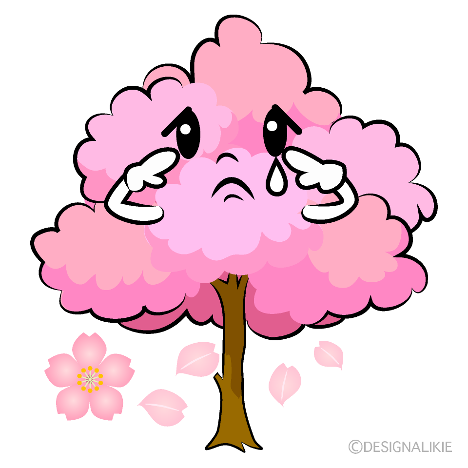 かわいい悲しい桜の木イラスト