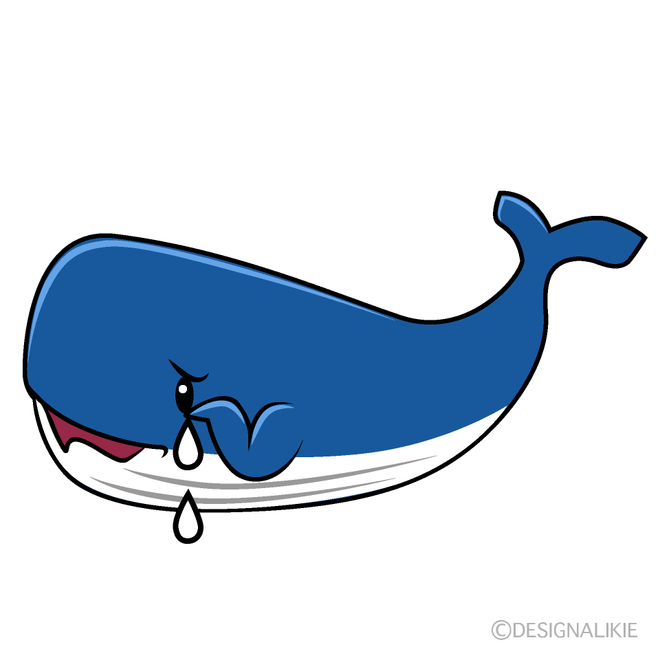 かわいい困る青クジライラスト