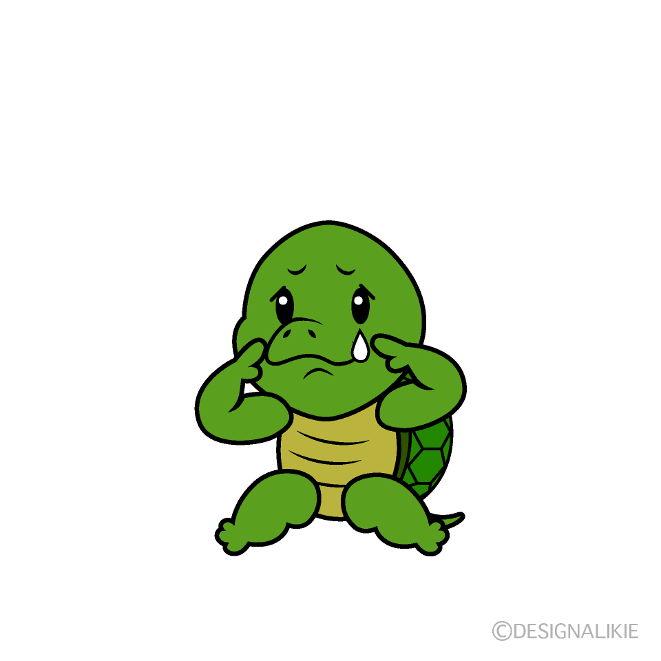 かわいい悲しいカメイラスト
