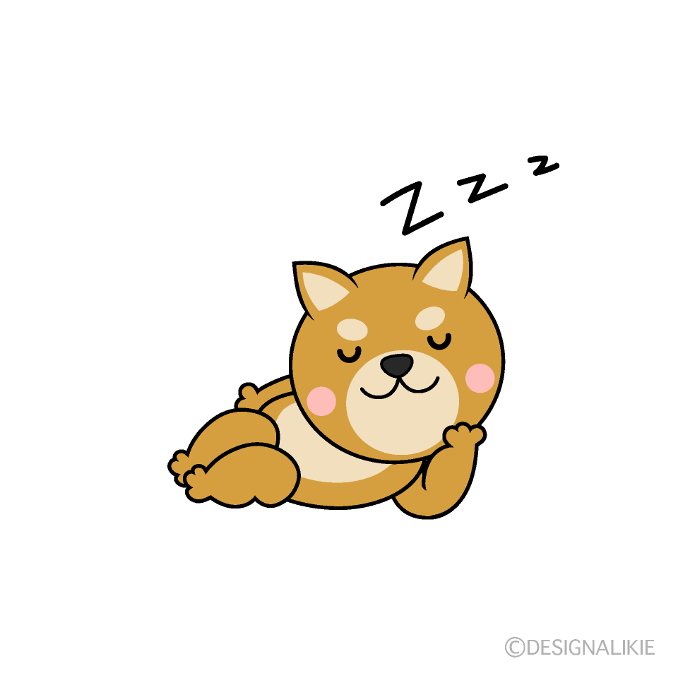 かわいい寝る柴犬イラスト