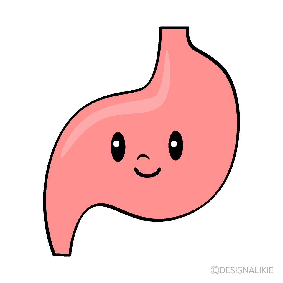 かわいい胃イラスト