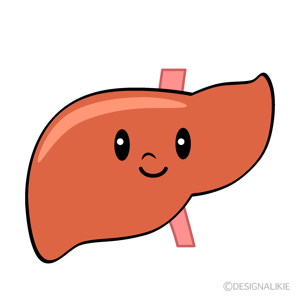 かわいい肝臓イラスト