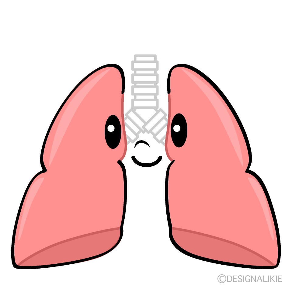 かわいい肺イラスト