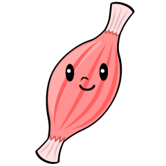 筋肉