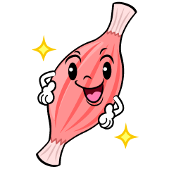 ポーズする筋肉