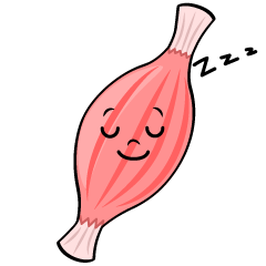 寝る筋肉